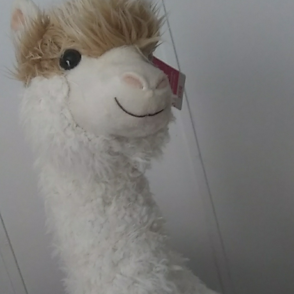 Llama stuffed aniamal